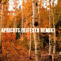 Bicep - Apricots (djfesto Remix) by djfesto (palstation)