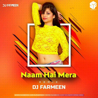Naam Hai Mera - DJ Farmeen (Remix) by Sound Fever Records