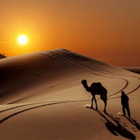 Sahara by MUSS MUSIC