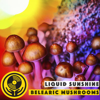 Show #66 - Belearic Mushroom Grooves - Liquid Sunshine @ The Face Radio - 28-07-2021 by Liquid Sunshine Sound System