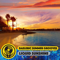 Baeleric Summer Grooves - Liquid Sunshine @ The Face Radio - Show #89 - 11-01-22 by Liquid Sunshine Sound System