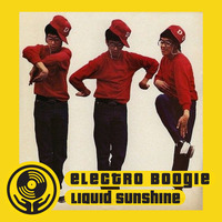 Electro Boogie Bass Bombs - Liquid Sunshine @ The Face Radio - Show #105 - 26-04-2022 by Liquid Sunshine Sound System