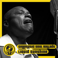 Cinematic Soul Ballads - Liquid Sunshine @ The Face Radio - Show #111 - 31-05-2022 by Liquid Sunshine Sound System