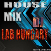 House Mix Lab Hungary.Vol.15 (1) by Roland Radics