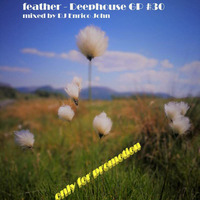 feather - Deephouse GP #30 mixed by DJ Enrico John by elektro1506