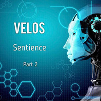 Sentience Pt.2 by Velos