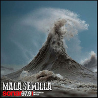 Mala Semilla Nº 189 - 22-06-2020 by Mala Semilla - FM Sonar 97.9