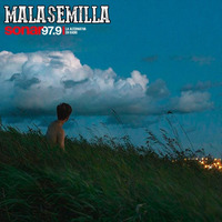 Mala Semilla Nº 198 - 24-08-2020 by Mala Semilla - FM Sonar 97.9