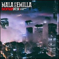 Mala Semilla Nº 206 19-10-2020 by Mala Semilla - FM Sonar 97.9