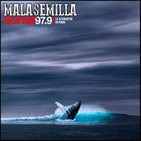Mala Semilla Nº 209 - 09 -11-2020 by Mala Semilla - FM Sonar 97.9