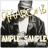 Ample Sample: Jay-Z (In My Lifetime, Vol. 1) by DJAARONB presents:  AMPLE SAMPLE