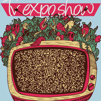 The sharp wall - TV EXPO SHOW by CArt Records, Conscious Art