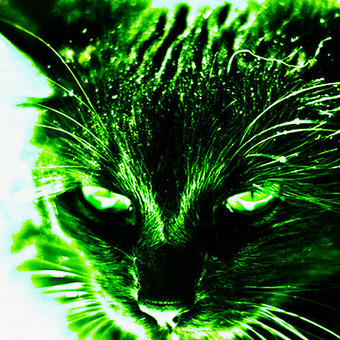Frozen Green Cat