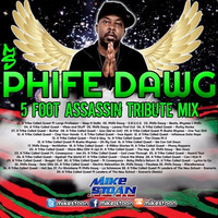 Phife Dawg - 5 Foot Assassin Tribute Mix by MikeStoan