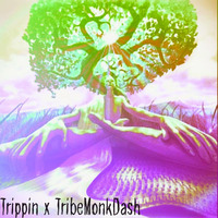 Trippin 3 x Tribe Monk Dash by Tribe Monk Dash