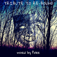 Polee - Tribute to Re-Bound by Polee