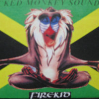 Wicked Monkey Sounds_Vol3_Side A by GANGZTA KID