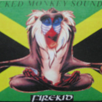 Wicked Monkey Sounds_Vol3_Side B by GANGZTA KID