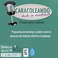 261  18092017 Propuestas de abordaje y análisis sobre la situación del maltrato infantil en Guatemala by Caracoleando desde la Academia