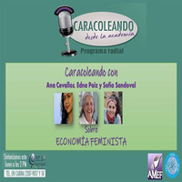 328 1802019 Caracoleando  Economía Feminista by Caracoleando desde la Academia