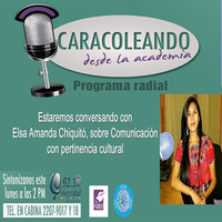 343 10062019 Elsa Runcal Chiquitó sobre comunicación con pertinencia cultural. by Caracoleando desde la Academia