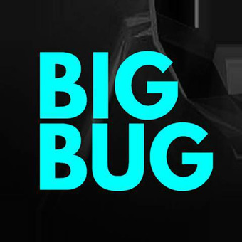 big bug