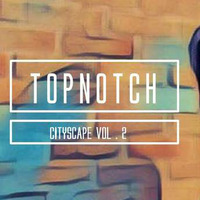 CITYSCAPE VOL . 2 by TopNotch