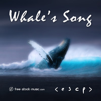 Whale’s Song by < e s c p >