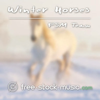 Winter Horses by FSM Team