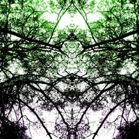 Cosmic leaf 2021 Spring mix Analog Version by Chlorophil