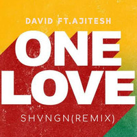 ONE LOVE - DAVID FT. AJITESH (SHVNGN REMIX) by SHVNGN