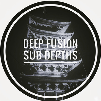 Deep:Fusion:Sub:Depths