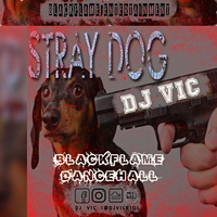 STRAY DOG by dj Vic Rio