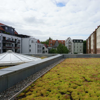 Bur Marlottke - This Roof (J. Dobers, A. von Keller) by Bur Marlottke