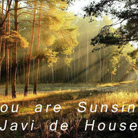 You are  shunsine (Javi de House) by Javier Sanchez Fernandez