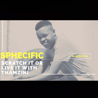 Sphecific Scratch It Mix by Thamzini  Podcast/Show