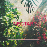 Nectar (feat. Hayden Stanford) by chuckislands