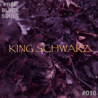 FREE BLVCK SOULS' Podcast - #010 Guest Mix by King Schwarz [Vitamin Deep Recordings] by King Schwarz