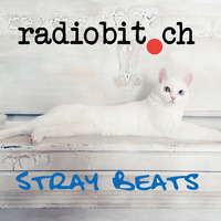 Claudia Snyder, Julia O - Stray Beats meets radiobit.ch by radiobit.ch