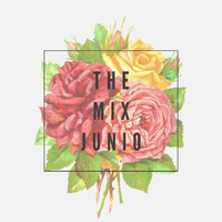 The Mix Junio - DJ Abel Miranda Ft: Dj Joel by DJ Abel Miranda