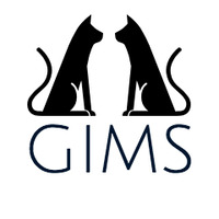 191104_2146_02.mp3 by GIMS