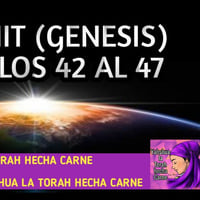 BERESHIT (GENESIS) CAPITULOS 42 AL 47 by Yahshua la Torah Hecha Carne