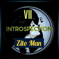 Zito Man - Introspection VII (Guestmix) by Introspection Podcast
