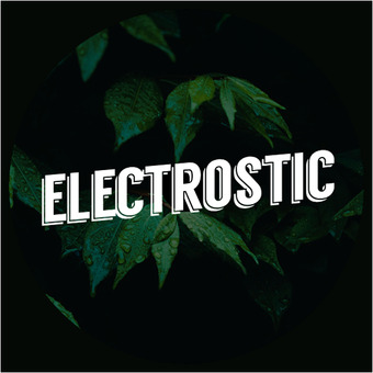 DJ ELECTROSTIC