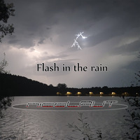 nicoLAUT - flash in the rain by nicoLAUT