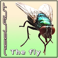 The fly by nicoLAUT