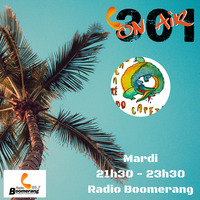 LE 301 ON AIR #24 : Du ska from mexico, du forro from Brazil avec une touche de punk rock by 301 On Air