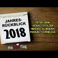 TheFalseFag PC 002: Der 2018 Jahresruckblick! Mit Peter Denk, Hendra alHendra, Veikko Stolzer und Manuel by Vienna Calling TV Podcast