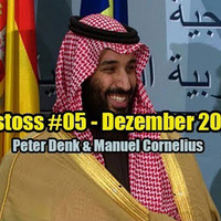 DENKanstoss #05 4K Langfassung Final - Peter Denk Live in Wien 6.12.2018 - DeepState, Weltraum uvm (1) by Vienna Calling TV Podcast
