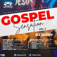 GOSPEL SENSATION  (WORSHIP) VOL 2 by DJ ZEDDY